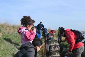 Sortie en famille baie de somme